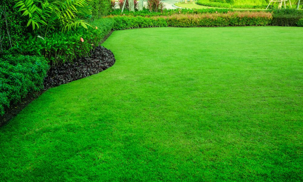 mastering-your-lawn:-pro-tips-for-lush,-healthy-greenery