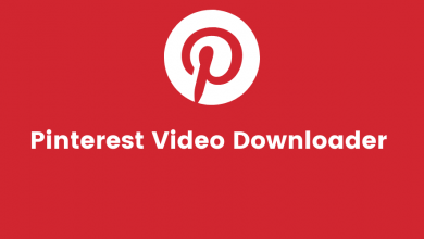 pinterestvideodownload.org-–-the-best-online-pinterest-video-downloader